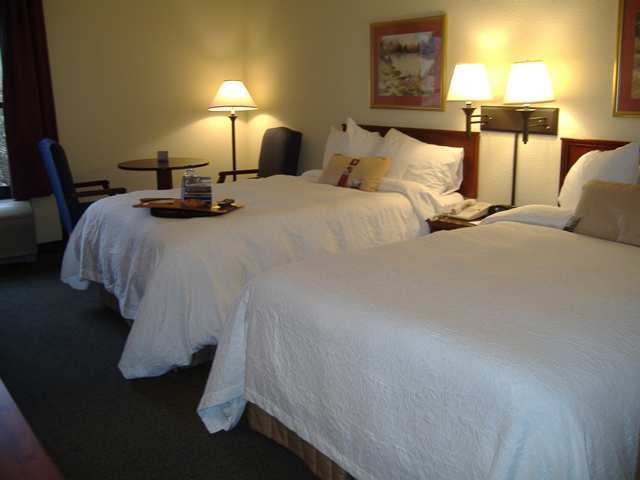 Wyndham Garden Greenville / Spartanburg Airport Rom bilde